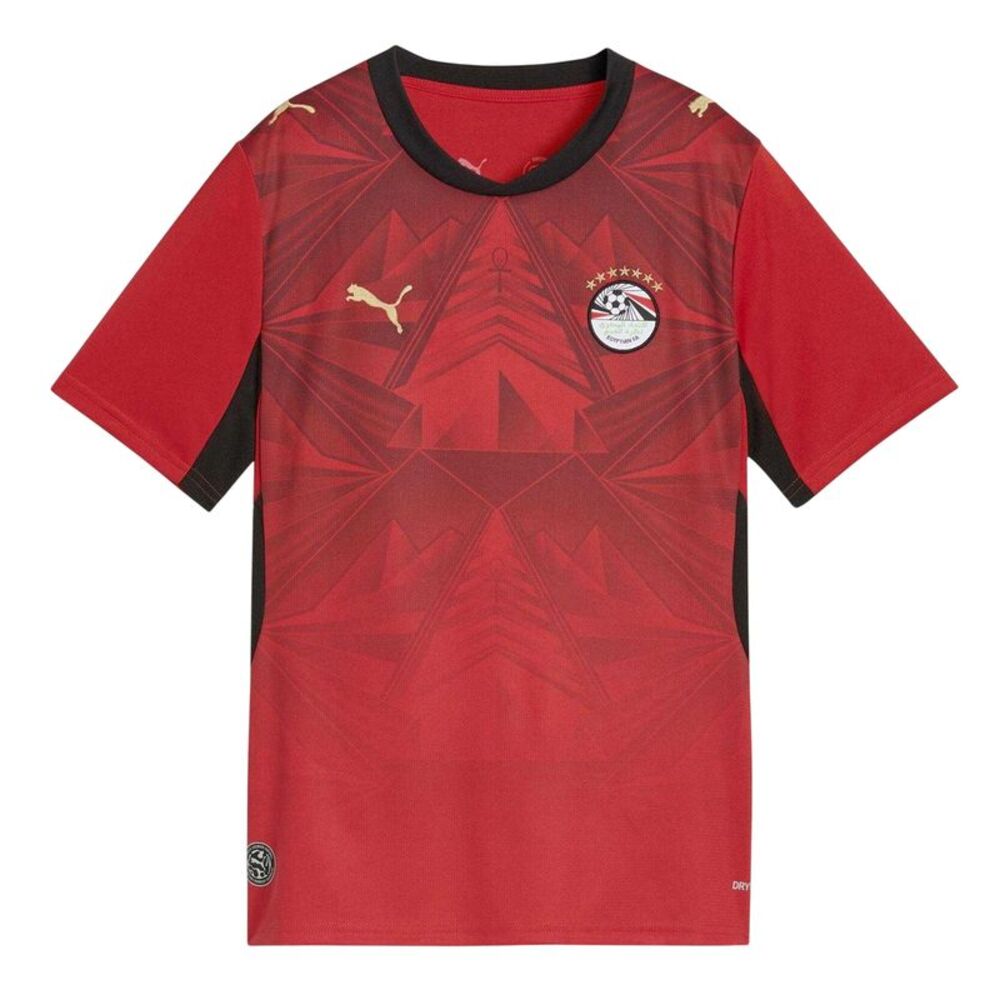 Puma Childrens/Kids World Cup 2026 Egyptian Football Shirt / Red/White